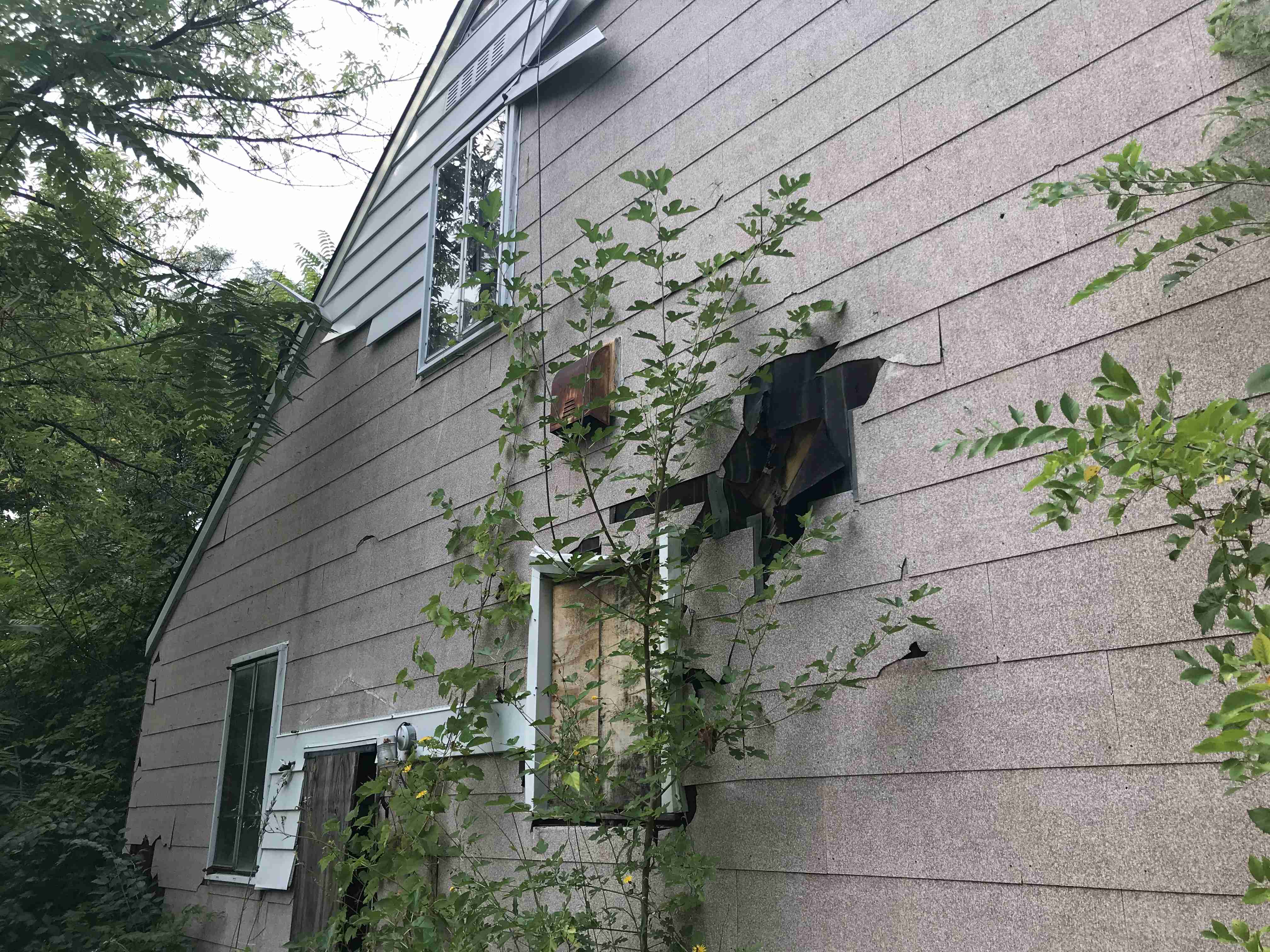 Photo Sep 09, 5 40 39 PM.jpg